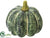 Pumpkin - Green - Pack of 12