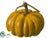 Pumpkin - Orange Brown - Pack of 6