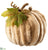 Velvet Pumpkin - Beige - Pack of 6