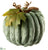 Velvet Pumpkin - Green - Pack of 6