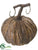 Pumpkin - Brown Whitewashed - Pack of 6