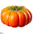 Pumpkin - Orange - Pack of 4