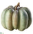 Pumpkin - Gray Green - Pack of 36