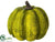 Pumpkin - Green Two Tone - Pack of 12