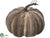 Pumpkin - Brown Whitewashed - Pack of 4