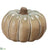 Pumpkin - Cream Green - Pack of 1