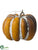 Pumpkin - Orange Whitewashed - Pack of 4