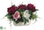 Peony, Fern - Pink Crimson - Pack of 1