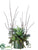 Agave, Sedum, Succulent - Green - Pack of 1