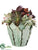 Succulent - Green Burgundy - Pack of 1