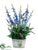 Delphinium, Astilbe - Blue Purple - Pack of 4