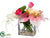 Dendrobium Orchid, Peony, Anthurium - Cerise Cream - Pack of 1