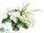 Larkspur, Peony, Rose - Cream White - Pack of 1