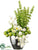 Tulip, Apple, Bells of Ireland - Green White - Pack of 1