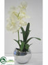 Silk Plants Direct Vanda Orchid - White - Pack of 1