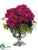 Peony, Mum, Ranunculus - Fuchsia Green - Pack of 1