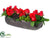 Rose, Sedum Blank - Coral Black - Pack of 1