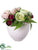 Rose, Ranunculus - Pink Burgundy - Pack of 1