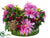 Dahlia, Rose, Sedum, Fern - Mauve Amethyst - Pack of 1