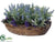 Lavender, Rosemary, Statice, Hypericum - Purple Lavender - Pack of 1