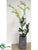 Rananterea Plant - Green - Pack of 1