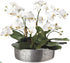 Silk Plants Direct Phalaenopsis Orchid - White - Pack of 1