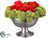 Rose, Sedum - Red Green - Pack of 1