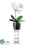 Silk Plants Direct Phalaenopsis Plant - White - Pack of 1