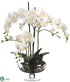 Silk Plants Direct Phalaenopsis Orchid - Cream - Pack of 1