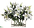 Stargazer Lily - White - Pack of 1