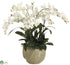 Silk Plants Direct Phalaenopsis Orchid - White - Pack of 1