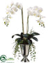 Silk Plants Direct Phalaenopsis Orchid - White - Pack of 1