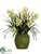 Cymbidium Orchid - Green - Pack of 1