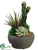 Agave, Marginata, Grass - Green Flocked - Pack of 1