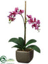 Silk Plants Direct Phalaenopsis Orchid Plant - Orchid - Pack of 1