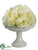 Rose, Hydrangea - Cream - Pack of 1