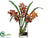 Vanda Orchid - Orange - Pack of 1