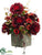 Dahlia, Gerbera Daisy - Burgundy Flame - Pack of 1