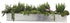 Silk Plants Direct Senecio, Succulent, Sedum - Green - Pack of 1