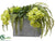 Orchid, Fern Arrangement - Green Two Tone - Pack of 1