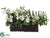 Azalea, Branch, Sedum Arrangement - Cream Green - Pack of 1