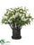 Lilac, Twig Arrangement - Cream Green - Pack of 1