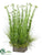 Bells Of Ireland, Willow Grass Arrangement - Green - Pack of 1