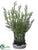 Lavender, Rosemary Arrangement - Lavender Green - Pack of 1