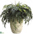 Fern - Green - Pack of 1