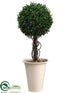 Silk Plants Direct Boxwood Topiary Ball - Green - Pack of 1