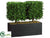 Boxwood Topiary - Green - Pack of 1