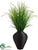 Foxtail, Grass - Green - Pack of 1