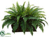 Silk Plants Direct Boston Fern - Green - Pack of 1