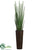 Snake Grass - Green - Pack of 1